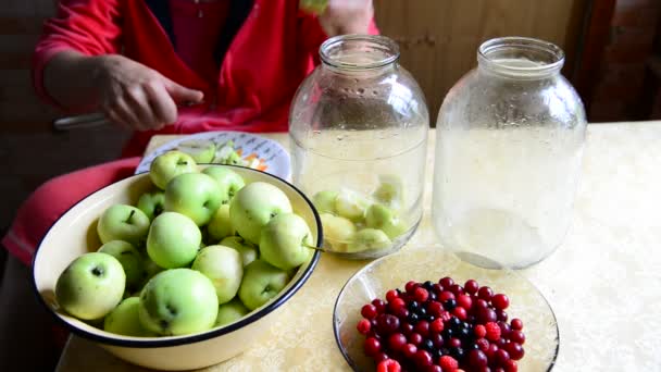 Mujer cortando manzanas para cocinar compota enlatada — Vídeo de stock