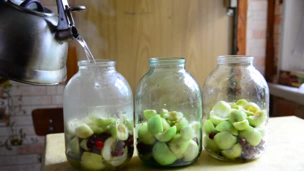 Woman prepares conserved stewed fruit for winter — Stock Video