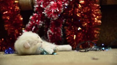 Noel tinsel ile oynarken bej yavru kedi