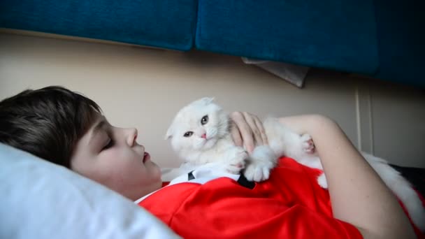 Zahmetli bir yavru kedi trende tutan çocuk — Stok video