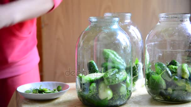 Huisvrouw zelfgemaakte ingeblikte komkommers voorbereiden winter — Stockvideo