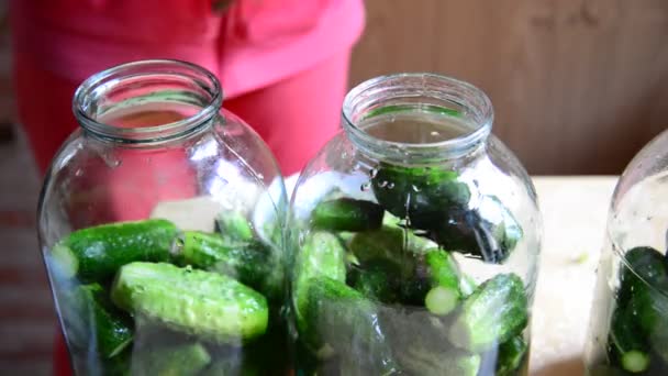 Mujer preparando pepinos enlatados caseros para el invierno — Vídeos de Stock