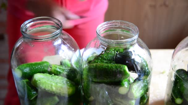 Žena připravuje domácí Zeleninové konzervy, naturalné zimu — Stock video