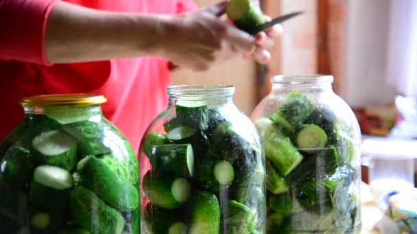 Woman preparing homemade canned cucumbers for winter — Stock Video