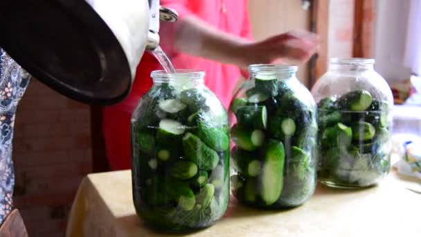Kadın ev yapımı konserve salatalık evde kışa hazırlanıyor — Stok video