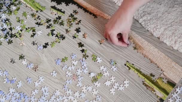 People collect puzzle of picture on the floor — Stock Video