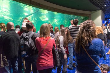Moskova, Rusya - Aralık 10.2016. Oceanarium Krasnogorsk içinde birçok kişi. Açılış günü