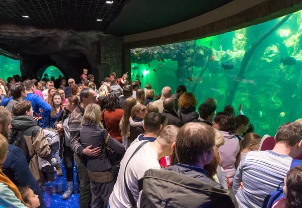 Moscow, Russia - December 10.2016. Many people in Oceanarium in Krasnogorsk. the opening day — Stock Photo, Image