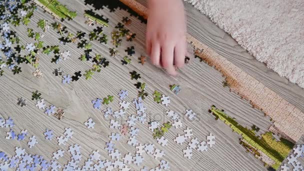 La gente raccoglie puzzle di foto sul pavimento — Video Stock