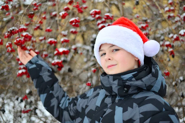 Adolescente em boné Papai Noel no fundo de Viburnum — Fotografia de Stock