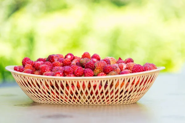 Ripe wild strawberry in wicker tray on a table outdoors — Stock Photo, Image
