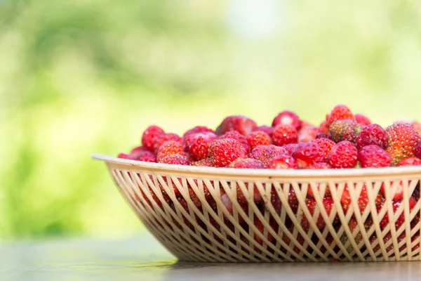 Ripe wild strawberry in wicker tray on a table outdoors — Stock Photo, Image