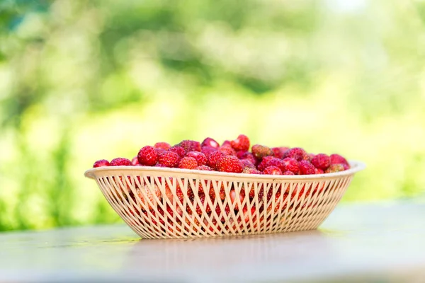 Rijpe wilde aardbei in rieten dienblad op een tabel buitenshuis — Stockfoto