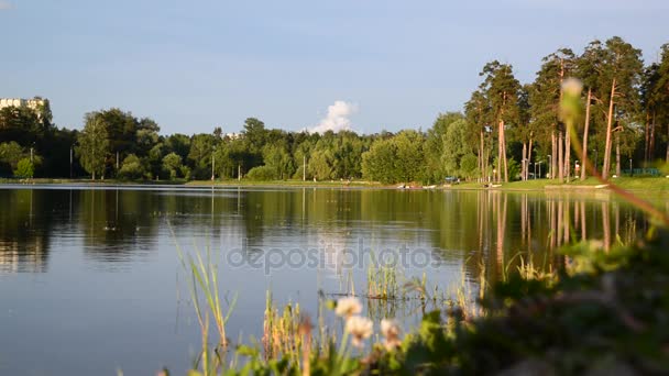 Lac de l'école à la lumière du coucher du soleil dans le district de Zelenograd de Moscou, Russie 