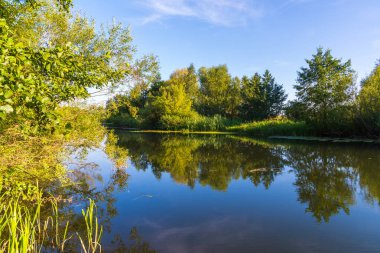 Rusya orta kısmında küçük nehir