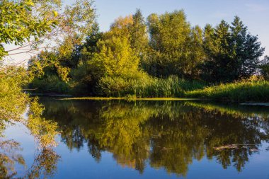 Rusya'daki nehir büyümüş ağaçlar