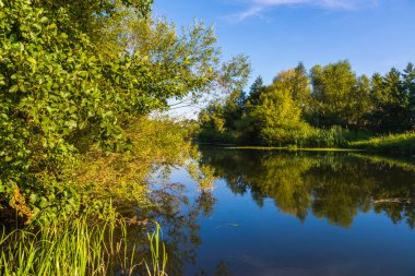 Rusya'daki nehir büyümüş ağaçlar