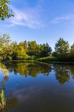Nehir kıyısında ağaçları ile