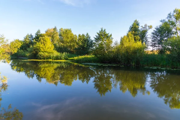 Nehir kıyısında ağaçları ile