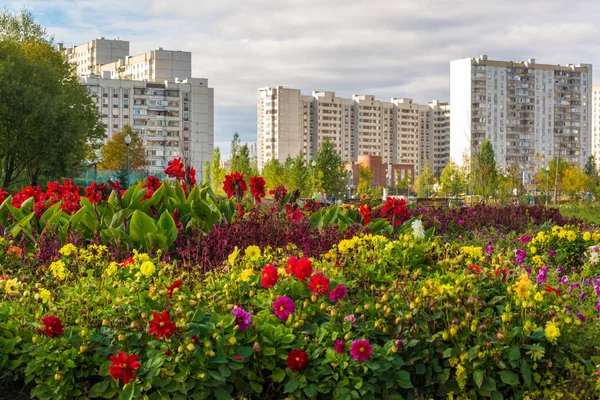 Спальная зона с цветами в Москве, Россия — стоковое фото