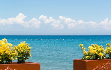 Sarı çiçek ve Akdeniz deniz manzaralı sahil Türkiye