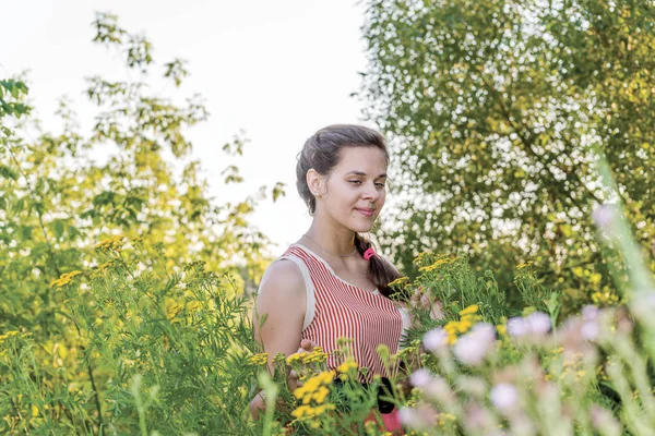 Rusia linda chica en el prado salvaje —  Fotos de Stock