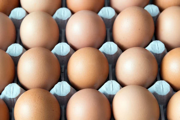 Huevos de pollo marrón en caja de cartón — Foto de Stock