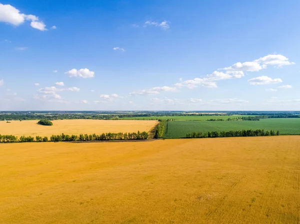 Aerial view of cereals in central Russia — Stock Photo, Image