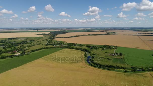 Landschap met veld van rogge — Stockvideo