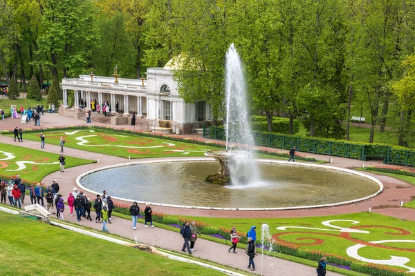 Peterhof, 러시아-6 월 03.2017. 궁전 앞 분수 공원 — 스톡 사진