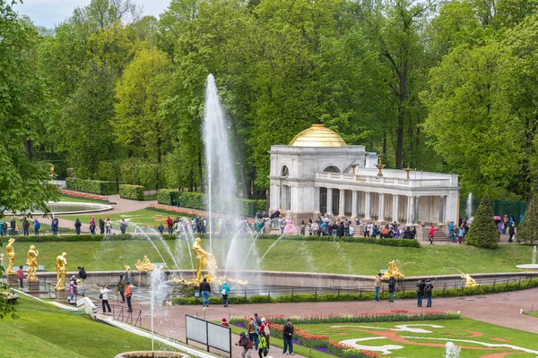 Peterhof, 러시아-6 월 03.2017. 궁전 앞 분수 공원 — 스톡 사진