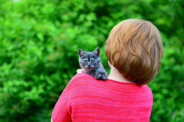 Gatito escocés azul está sentado en el hombro de la mujer. Al aire libre — Foto de Stock