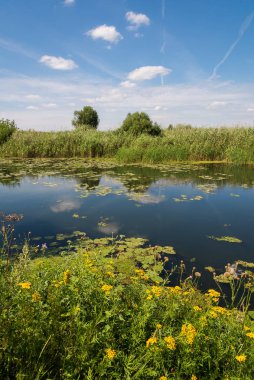 Rusya'daki Nehri ile manzara. Açık odak