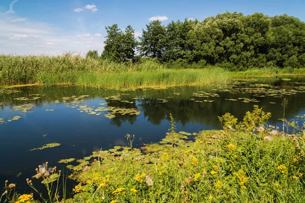 Rusya'daki Nehri ile manzara. Açık odak