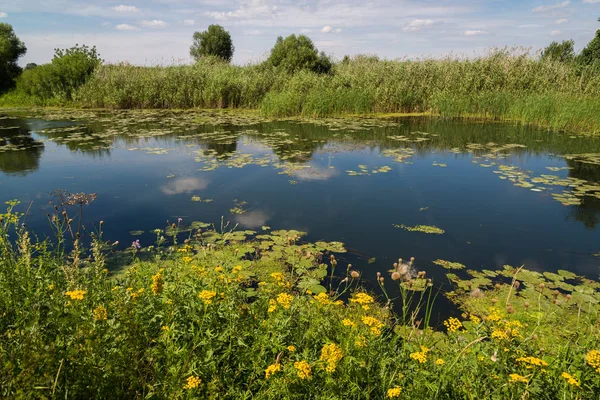 Rusya'daki Nehri ile manzara. Açık odak