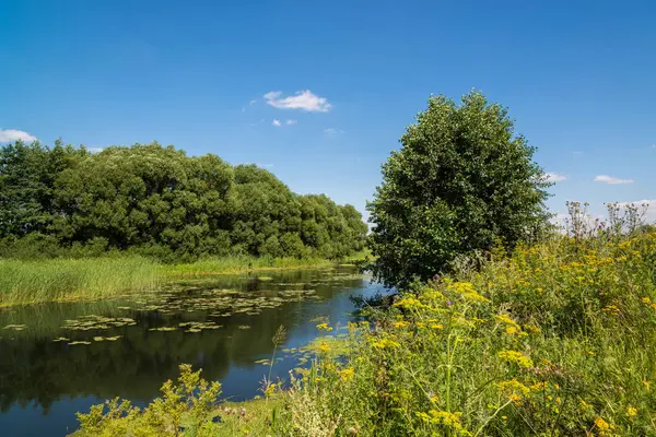 Paysage estival avec rivière en Russie. Mise au point avant — Photo