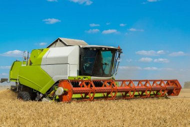 Birleştirmek hasat threshes buğday alanında, Rusya Federasyonu