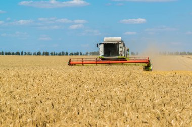 Birleştirmek hasat threshes buğday alanında, Rusya Federasyonu