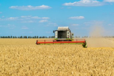 hasat Tahıl hasat alanında, Rusya birleştirmek