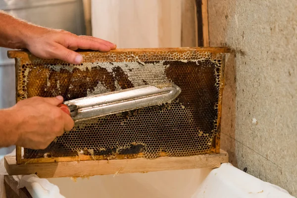 Beekeeper hot knife cuts wax honeycombs — Stock Photo, Image