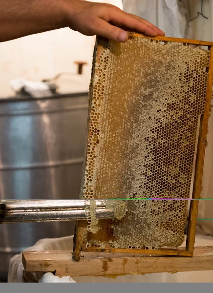 Beekeeper cuts the wax with knife from honeycombs — Stock Photo, Image