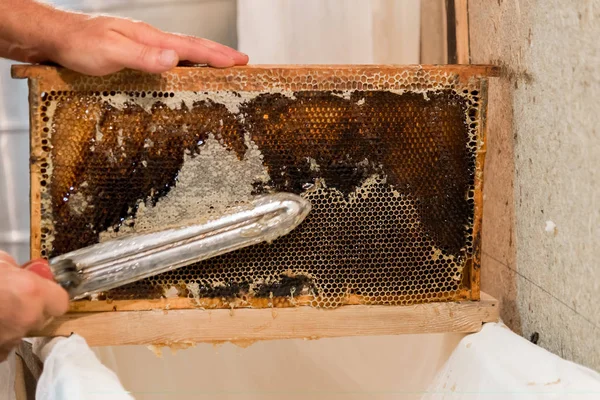 Beekeeper cuts the wax with knife from honeycombs — Stock Photo, Image