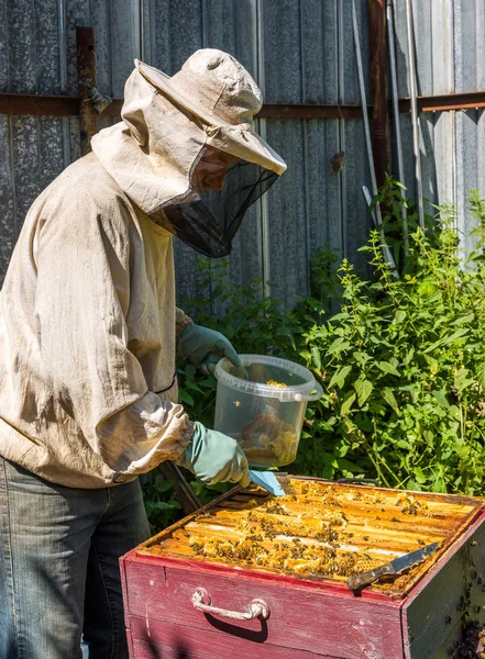 The beekeeper takes out the honeycomb from hive — Stock Photo, Image