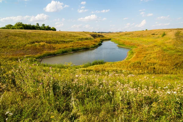 Sonbahar yatay, bozkır gölette. Rusya, Lipetsk bölge