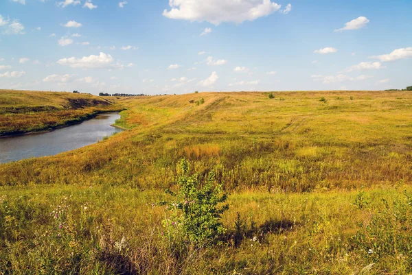 Sonbahar yatay, bozkır gölette. Rusya, Lipetsk bölge