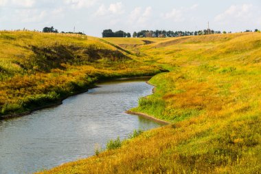 Su birikintisi sonbahar bozkır çimen tarafından çevrilidir. Rusya, Lipetsk bölge.