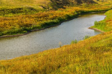 Su birikintisi sonbahar bozkır çimen tarafından çevrilidir. Rusya, Lipetsk bölge.