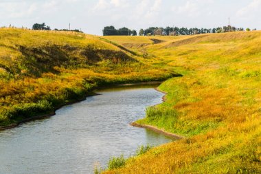 Su birikintisi sonbahar bozkır çimen tarafından çevrilidir. Rusya, Lipetsk bölge.