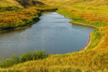 Su birikintisi sonbahar bozkır çimen tarafından çevrilidir. Rusya, Lipetsk bölge.