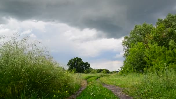 Landschap van het platteland met weg voor de storm. Rusland — Stockvideo